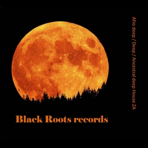 Black Roots Records